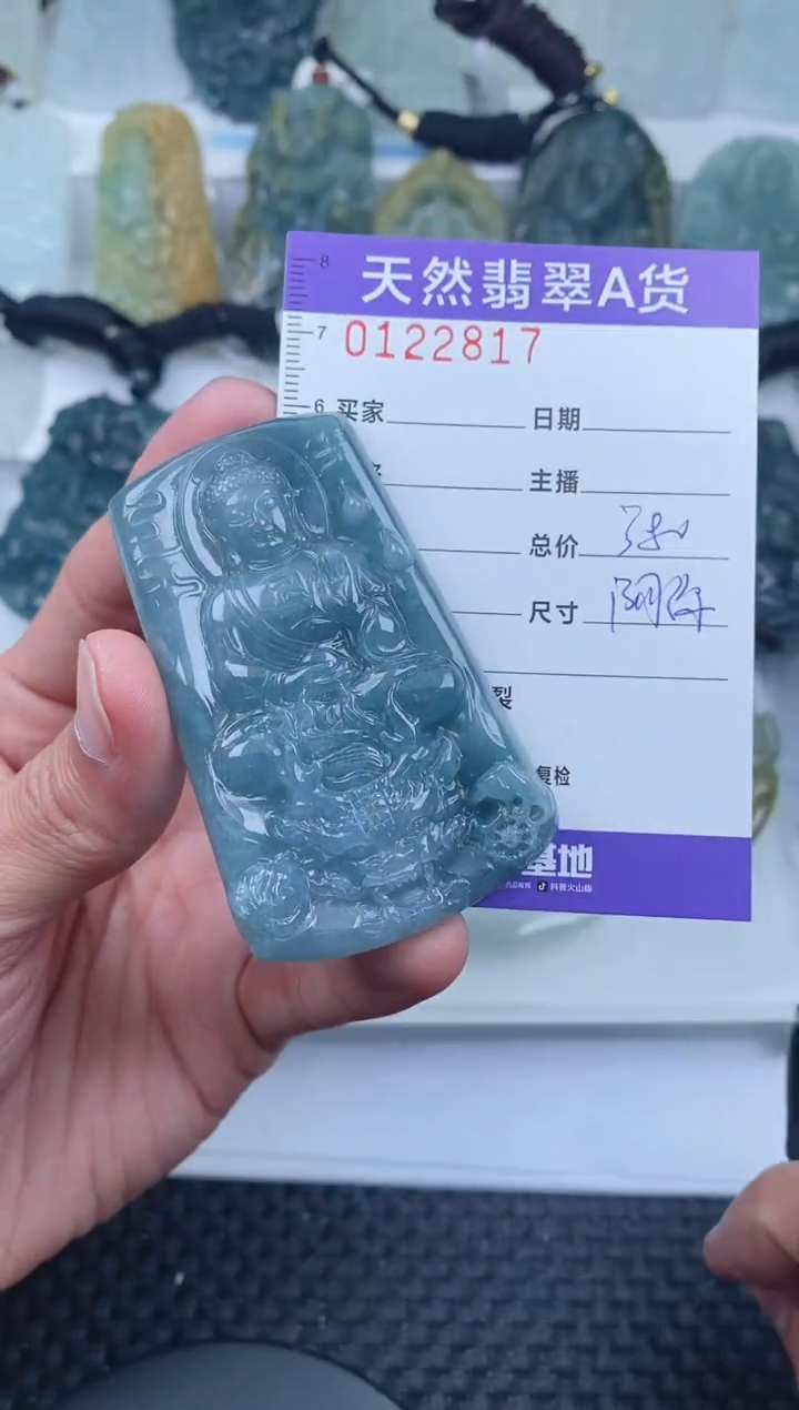 【闪购商品】翡翠颈饰未镶嵌        817