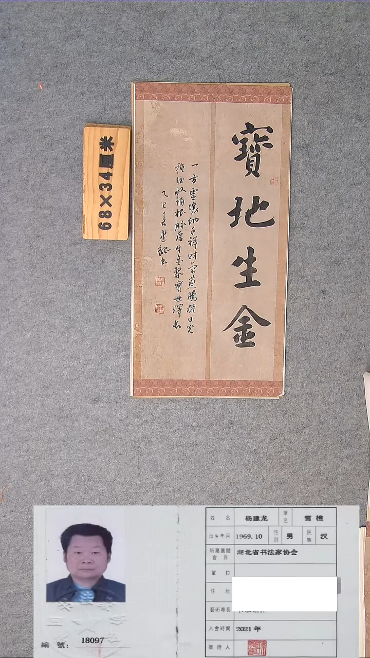 书法龙老师精品书法纯手写 湖北