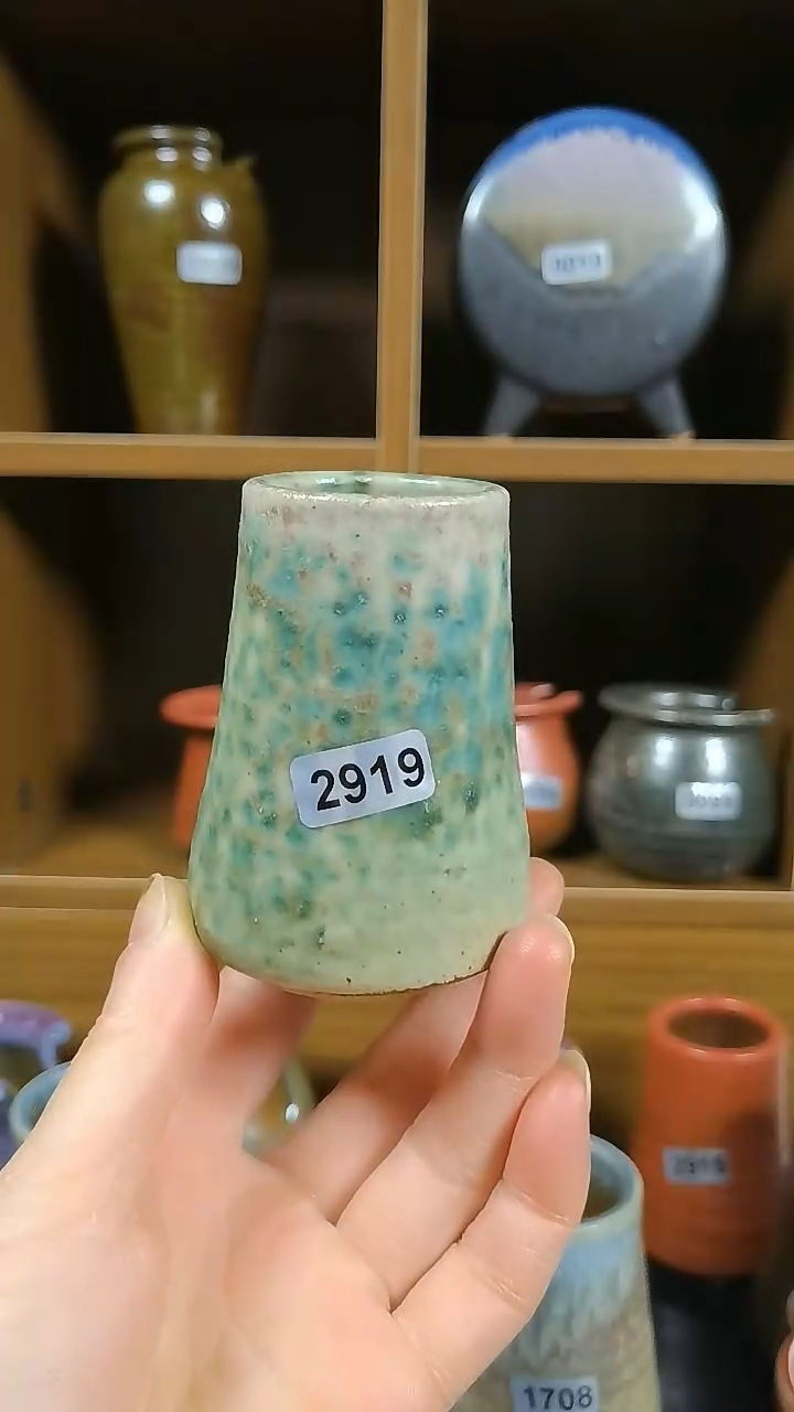 【闪购商品】红陶2919