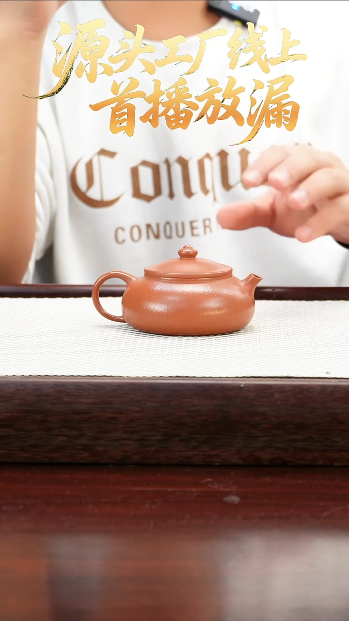 茶壶紫砂5648955456659659