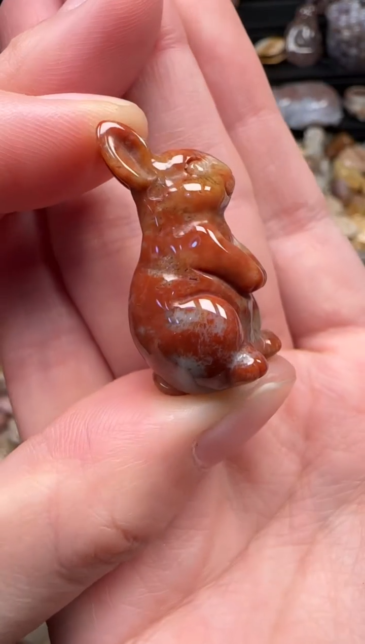 颈饰未镶嵌硅化珊瑚（珊瑚玉）617