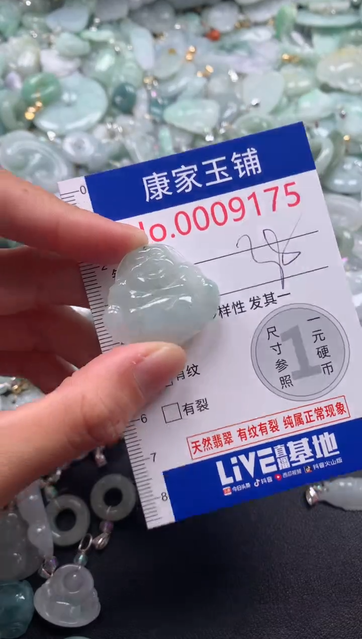 颈饰未镶嵌翡翠9175