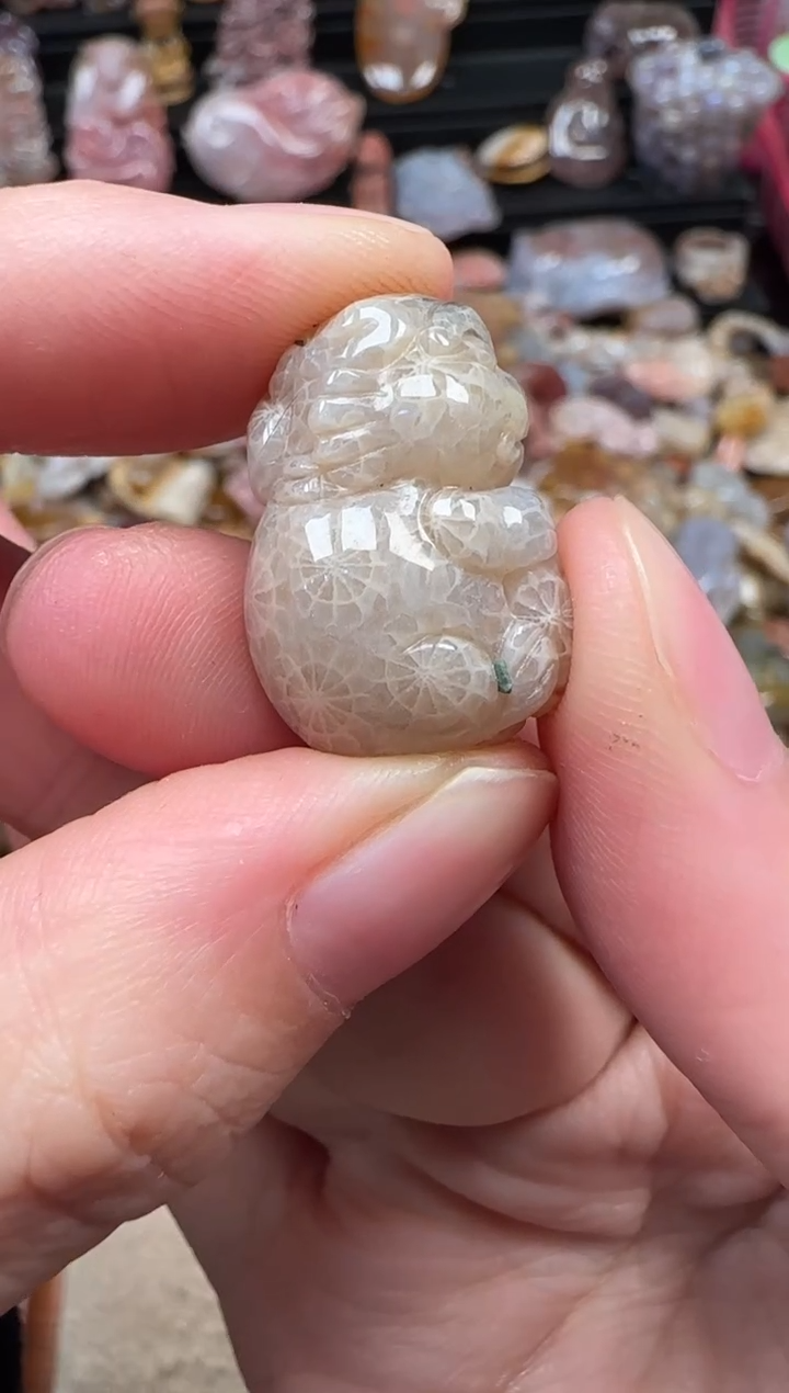颈饰未镶嵌硅化珊瑚（珊瑚玉）288