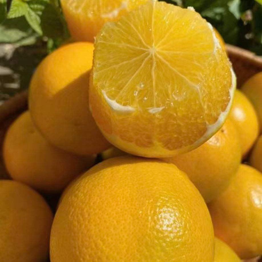 1箱/2箱【冰糖橙】汁水丰盈，果肉细嫩，果香十足，净果5斤，整箱发云南省