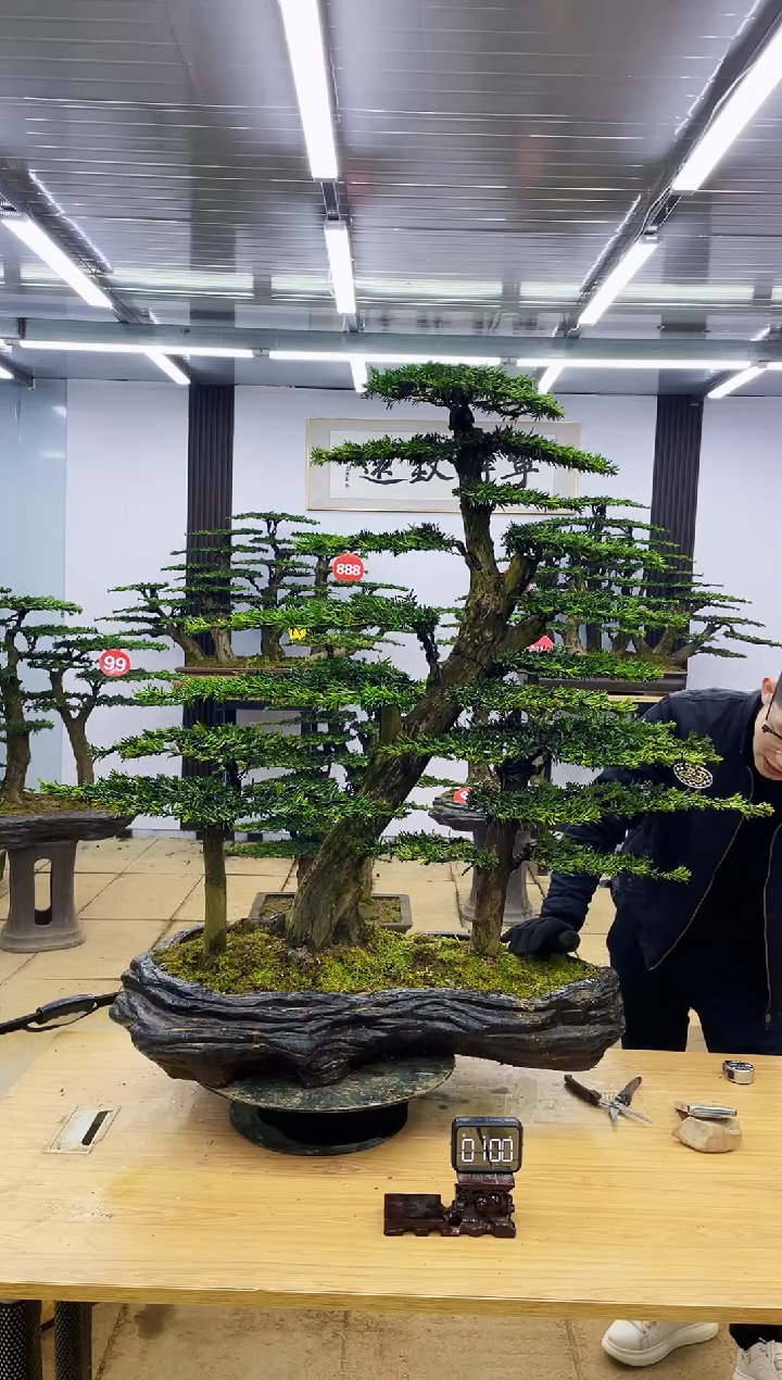 【闪购商品】0000000000