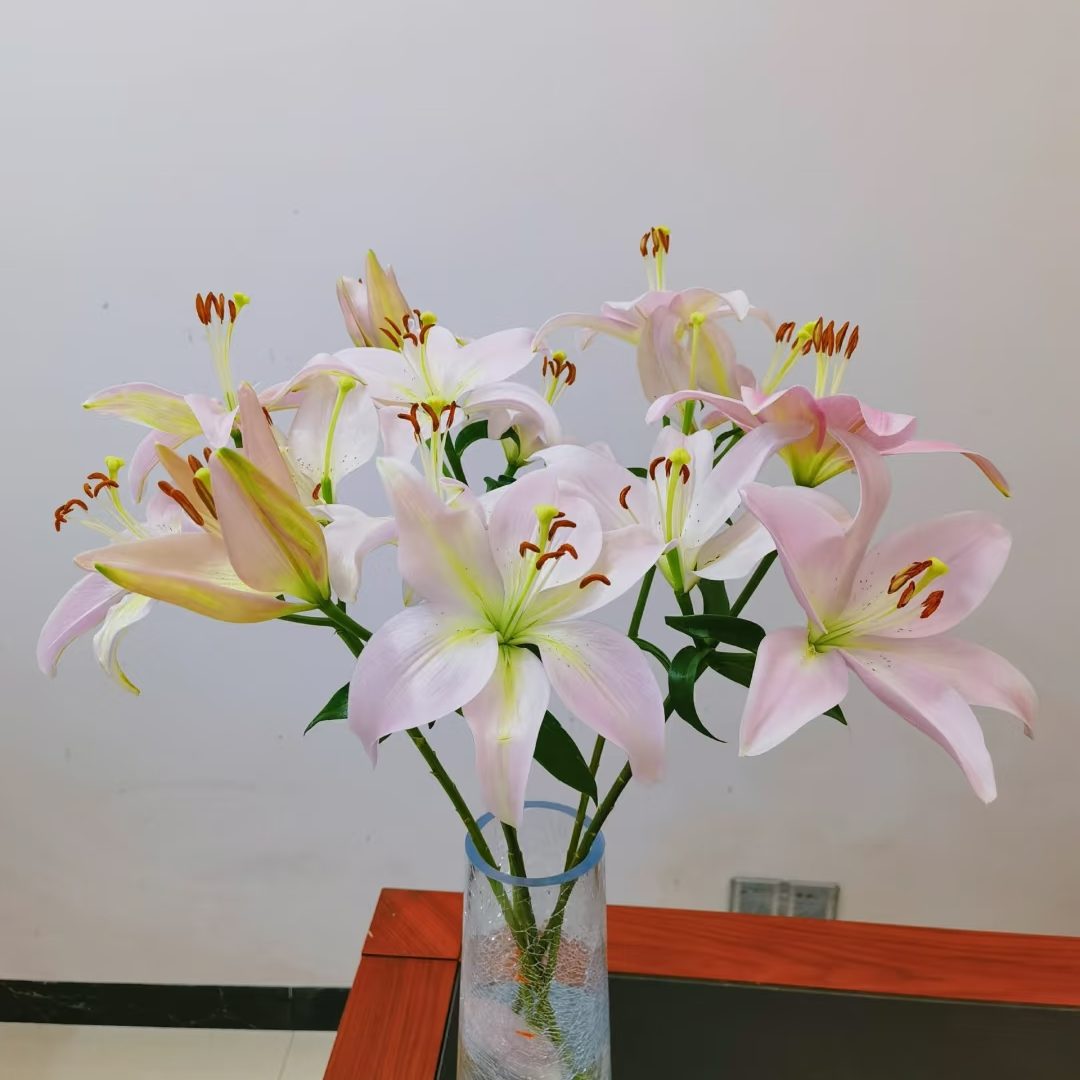 云南鲜花  粉钻亚百合 P