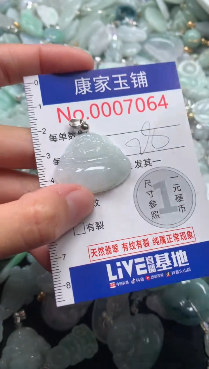 颈饰未镶嵌翡翠7064