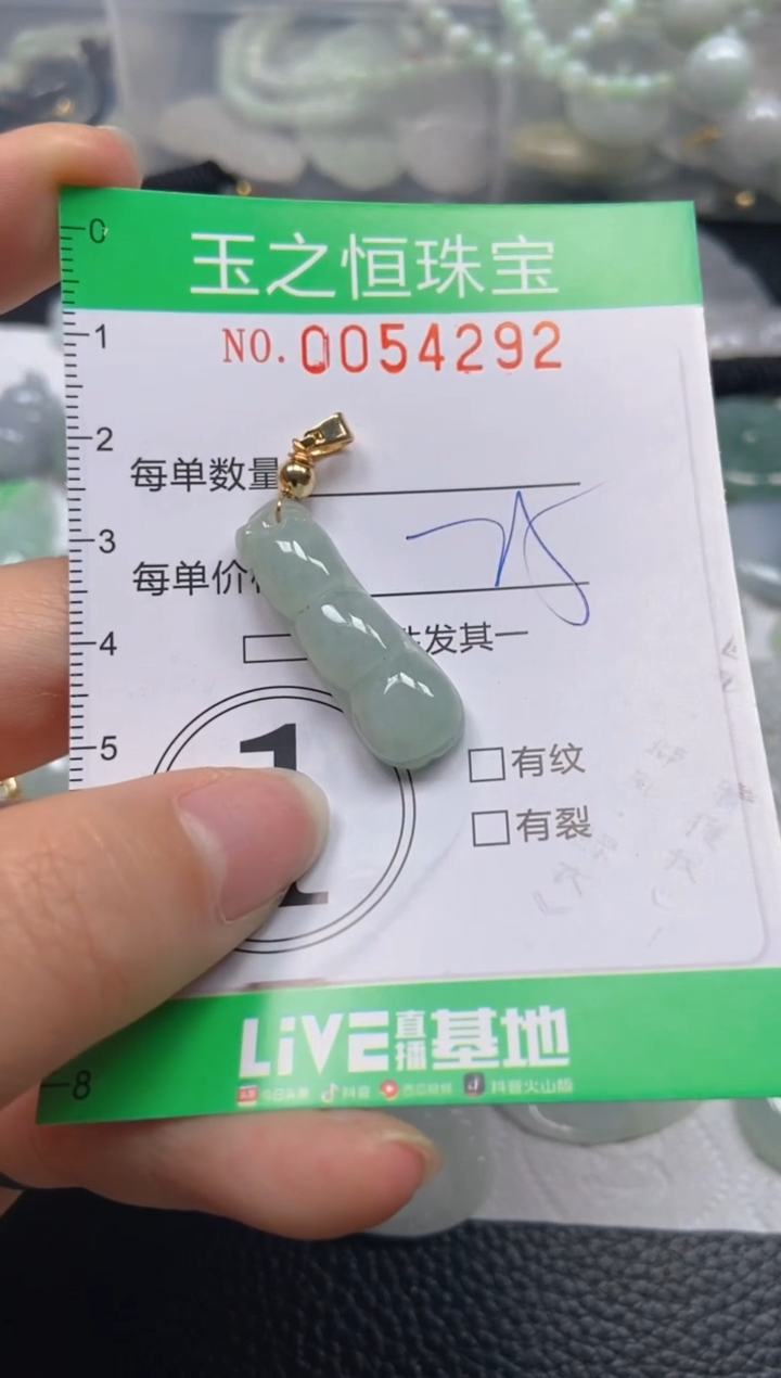 【闪购商品】翡翠未镶嵌颈饰闪购0054292