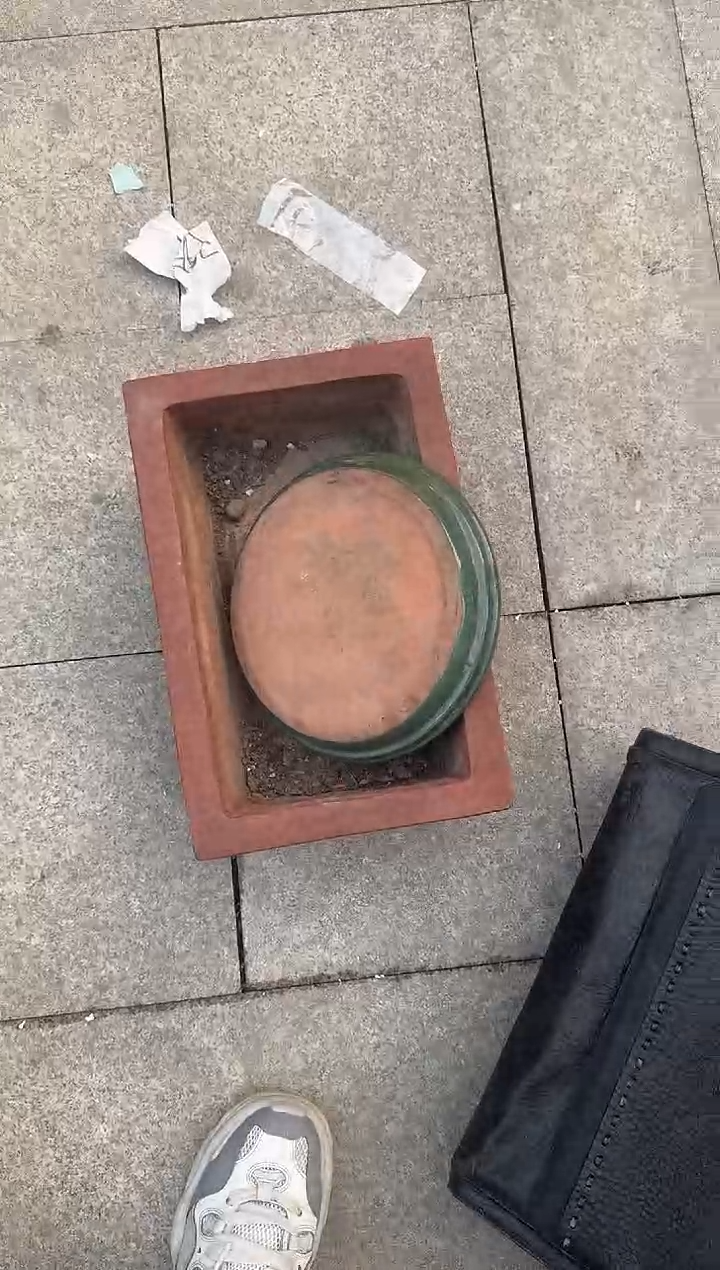 茶盏糊*嘉直播闪购改价链接229