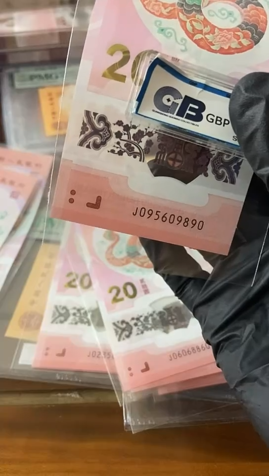 【闪购商品】蛇钞  金马王 095609890