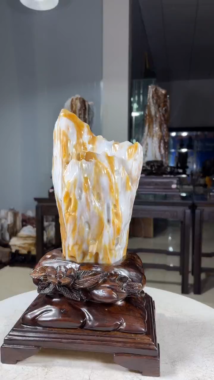 【闪购商品】硅化玉珠宝奇石未镶嵌1