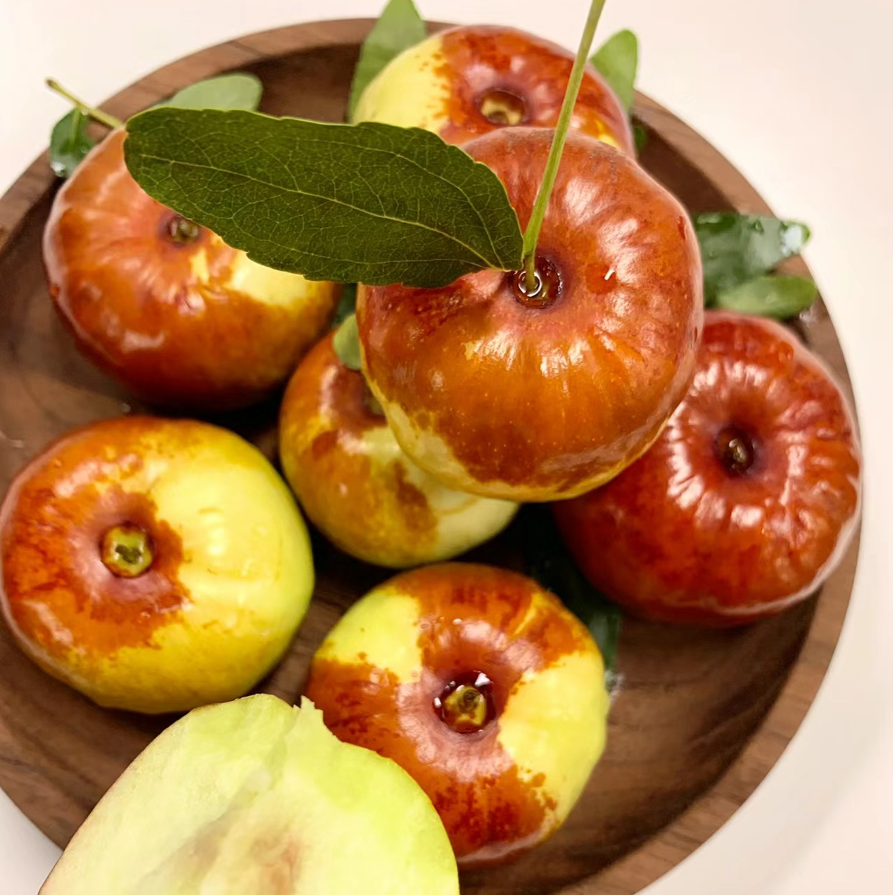 【枣树苗】冰糖枣冬枣阳台庭院盆栽地栽抗旱寒蟠枣长枣和田枣牛奶枣