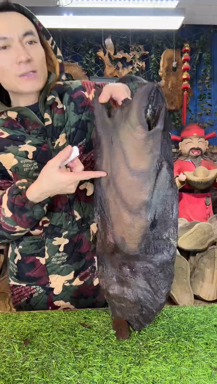 金丝楠小叶桢楠104