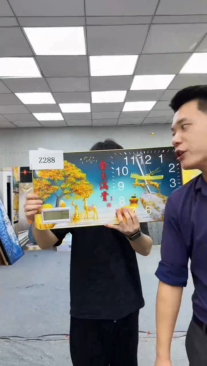孤品微瑕黑马闪购Z288
