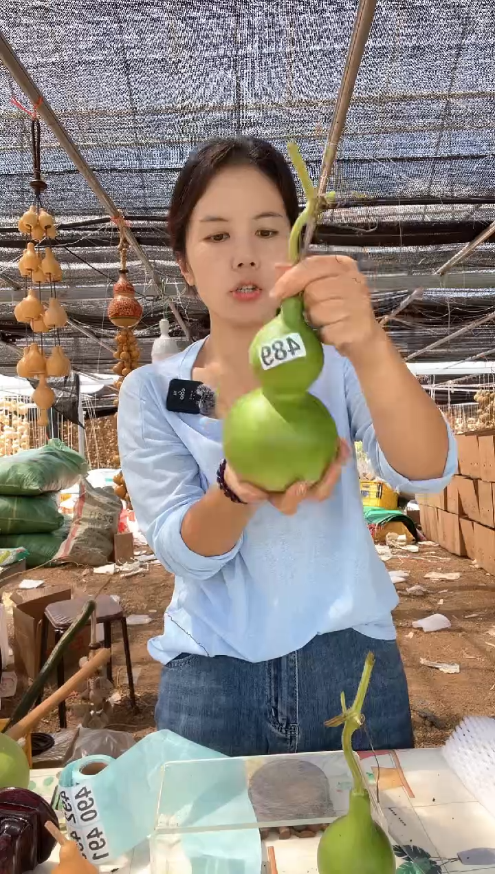 489天然葫芦摆件 一物一拍龙头不保售后