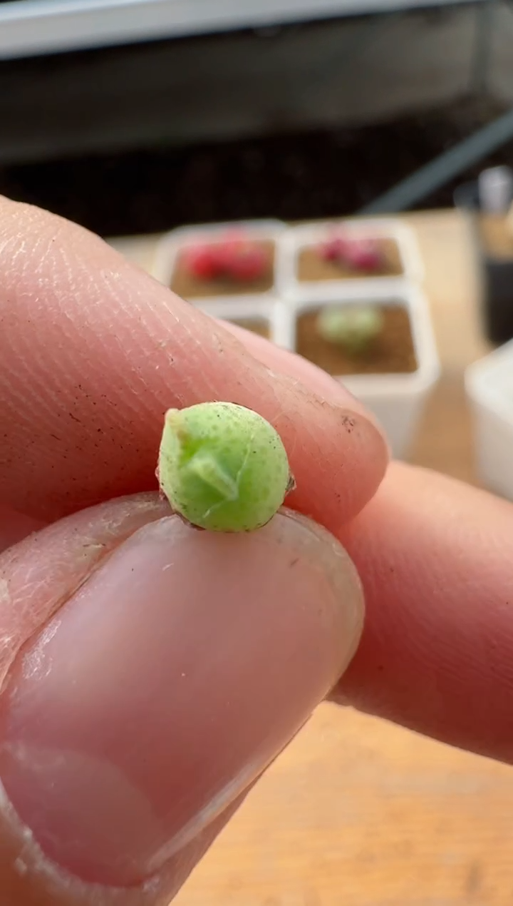 【闪购商品】17-60