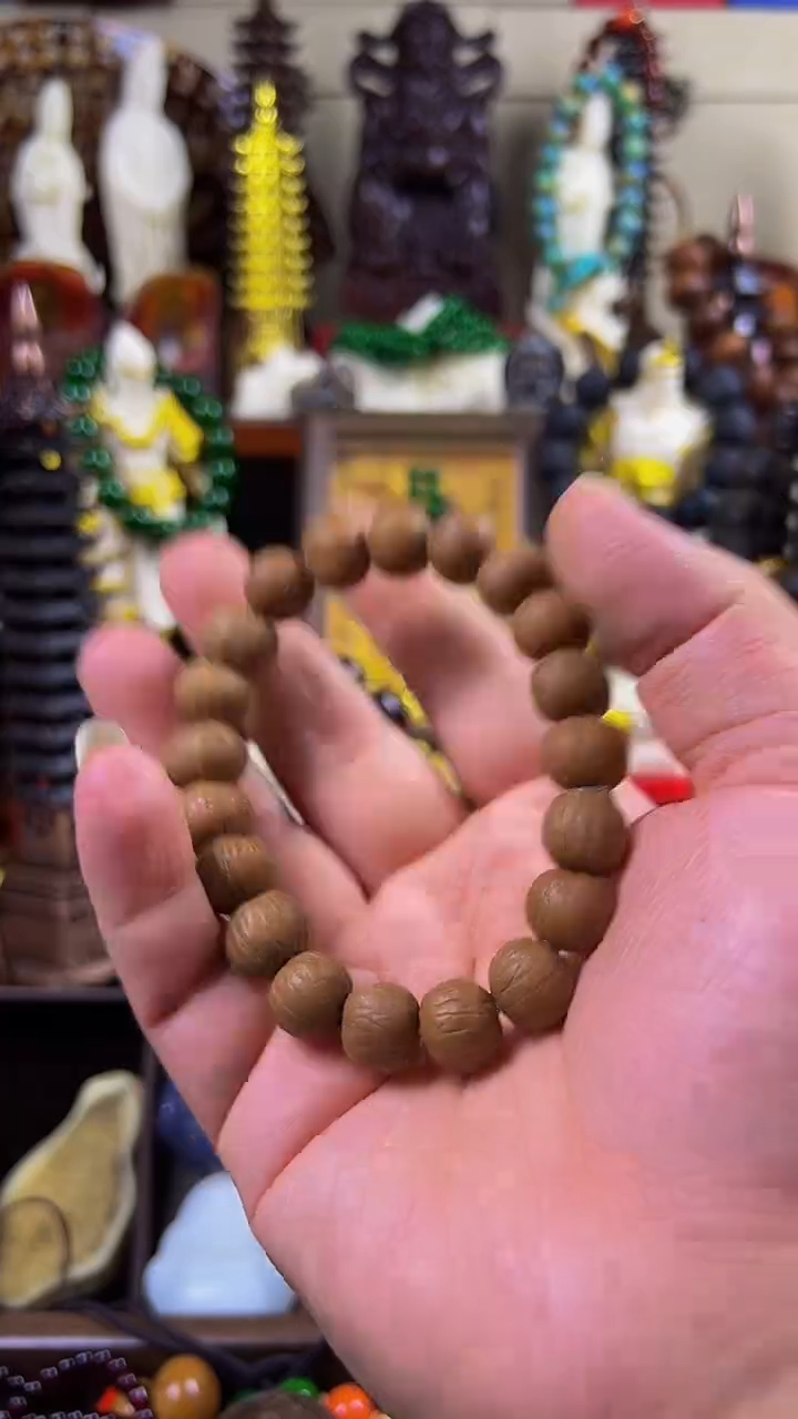 木主播推荐！主播推荐！！！