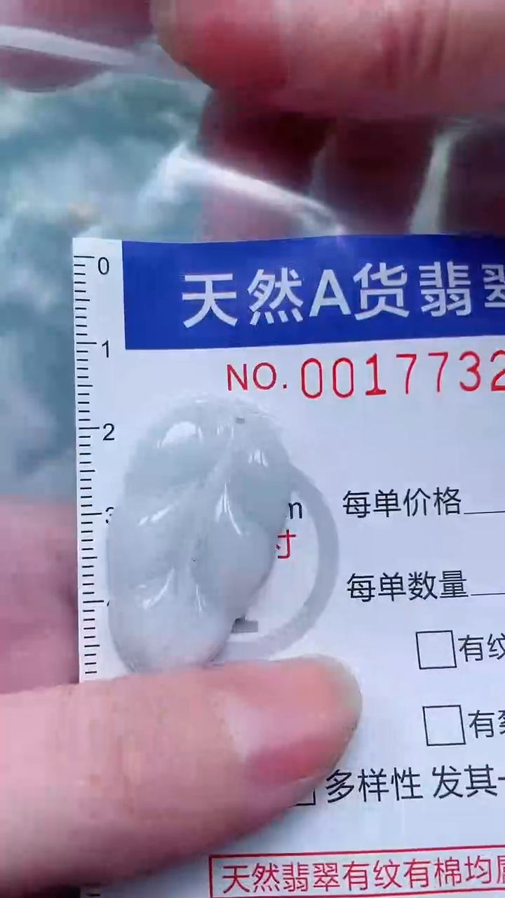 翡翠未镶嵌吊坠(不含链)1