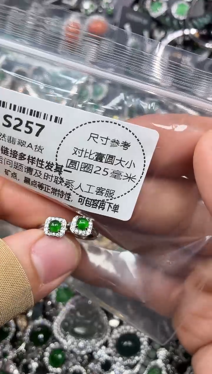 颈饰未镶嵌翡翠S257耳扣