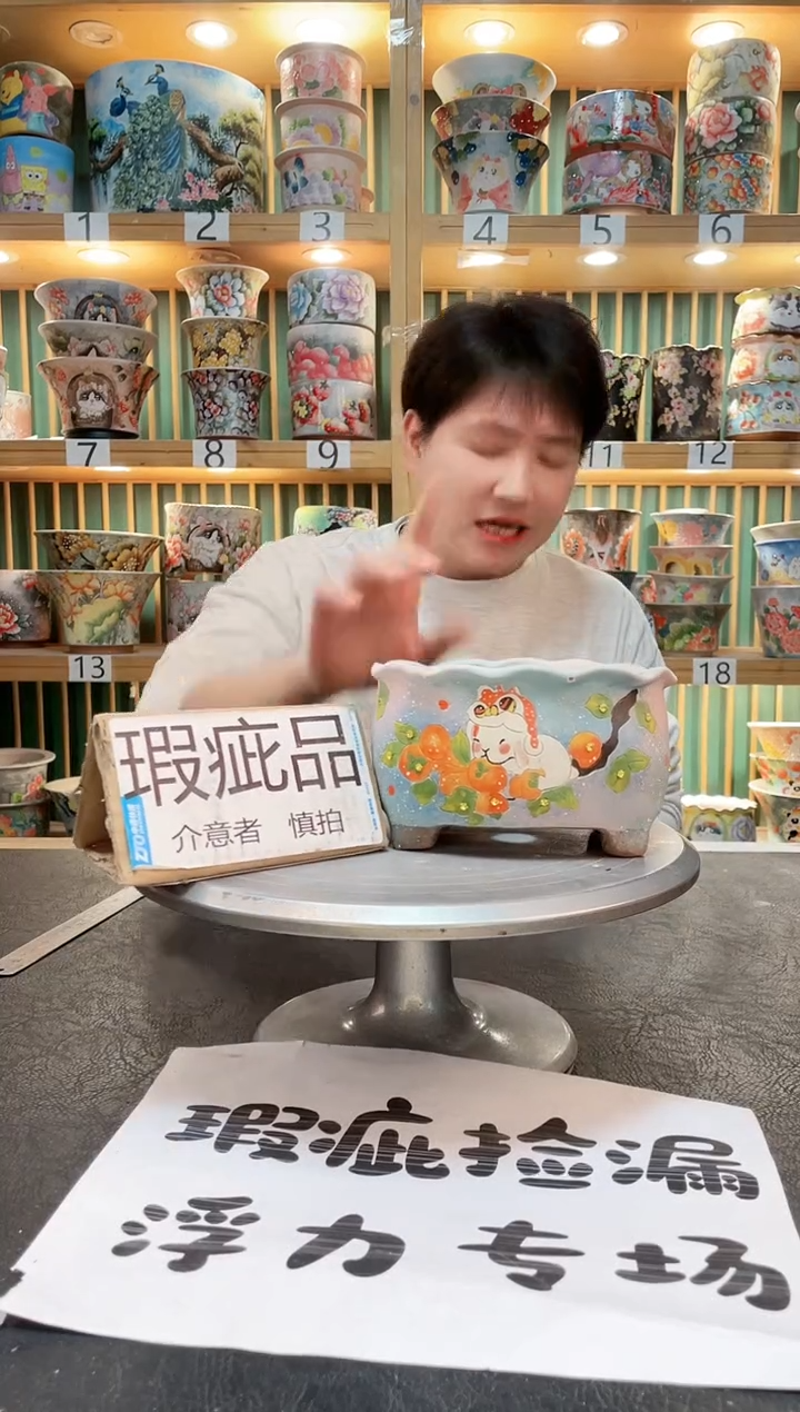 【闪购商品】瓷片默认微瑕一物一拍0223-005