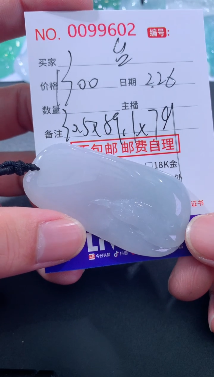 【闪购商品】翡翠颈饰未镶嵌台