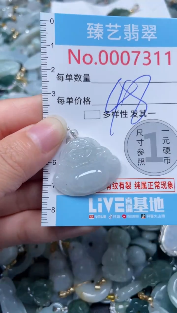 颈饰未镶嵌翡翠7311