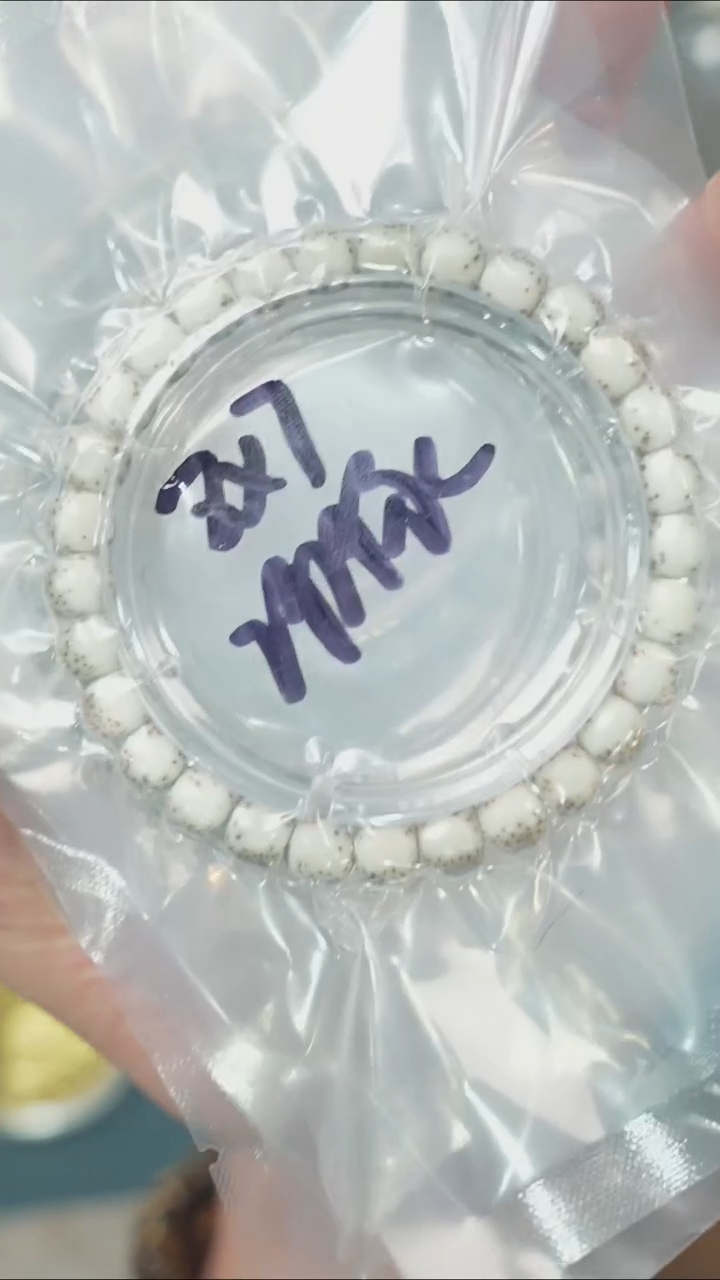 【闪购商品】星月菩提吊坠净庄阁文玩