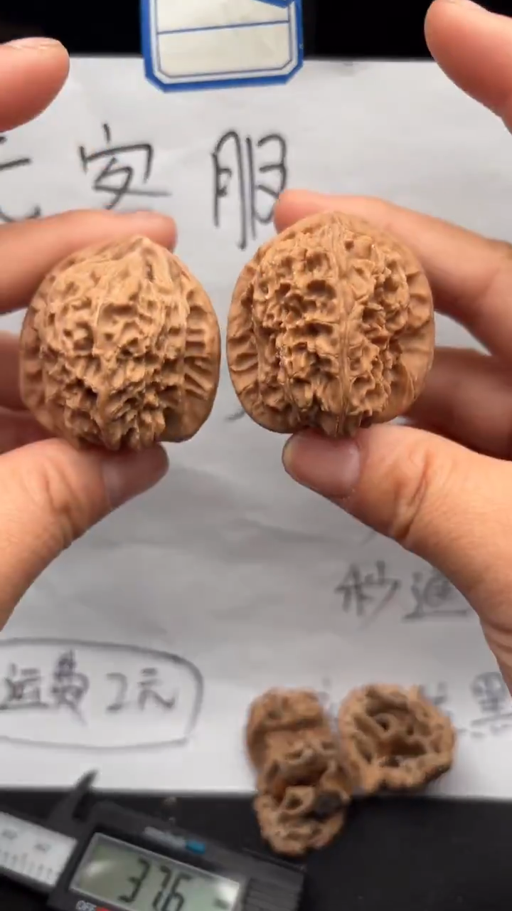 把件文玩核桃620白狮子