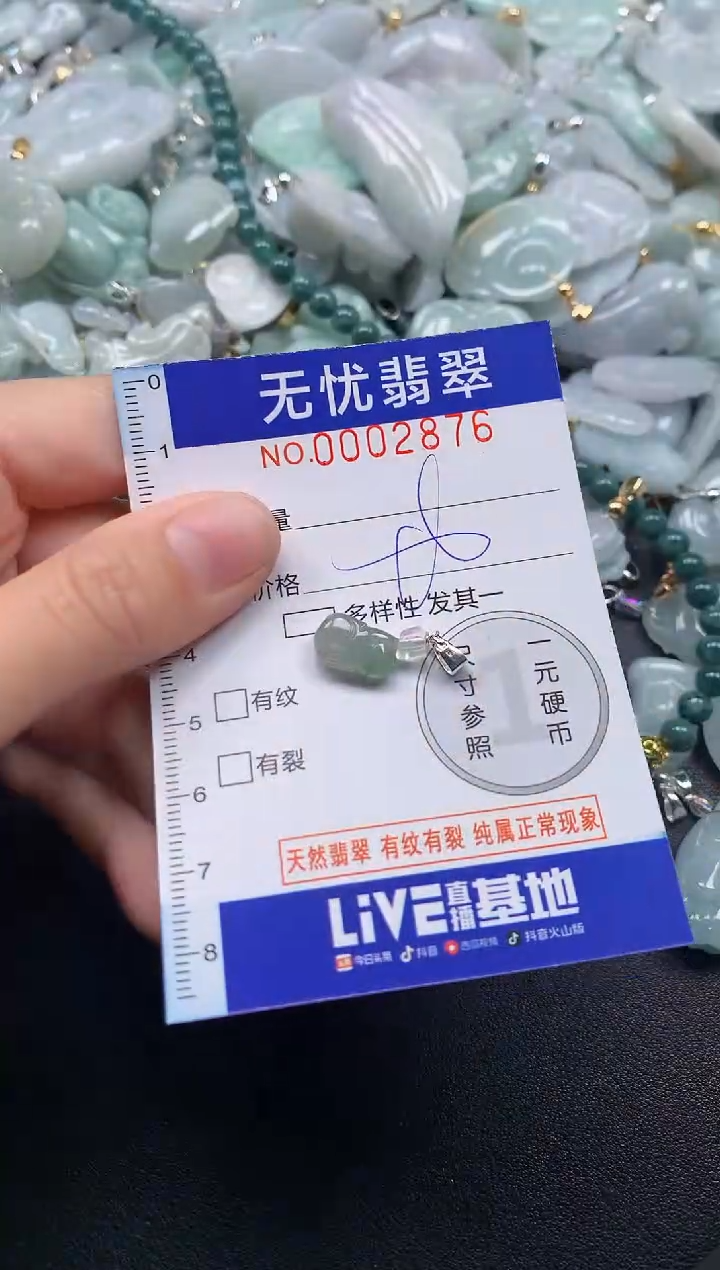 颈饰未镶嵌翡翠2876