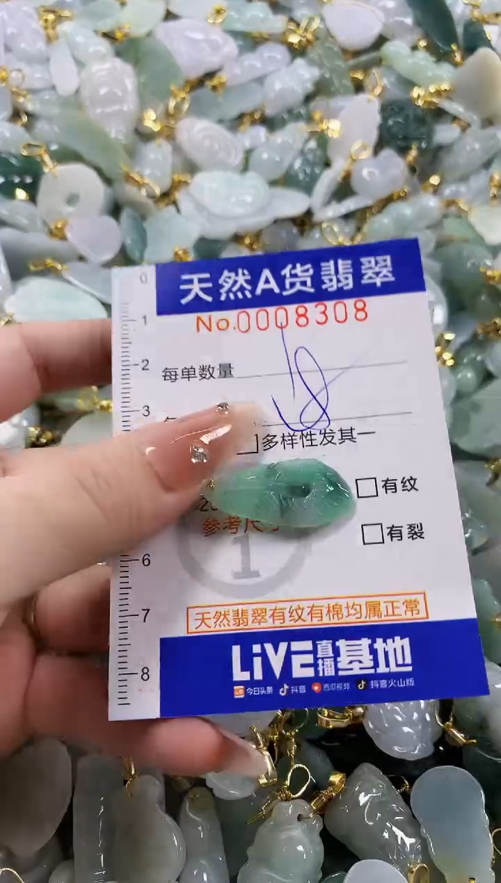 颈饰未镶嵌翡翠天然A货翡翠