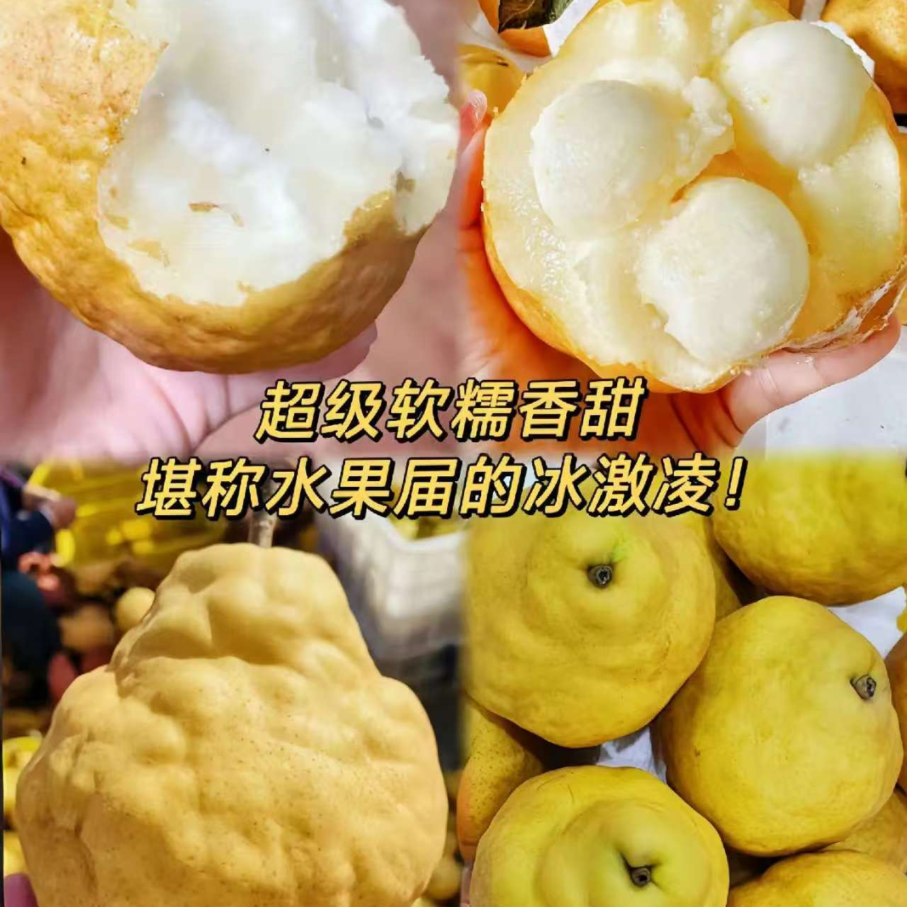 【宇哥果仓】中华丑梨3.5-3.6斤  