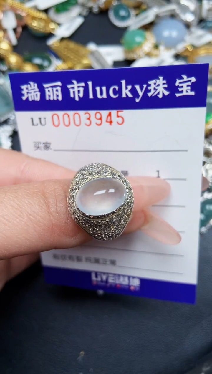 【闪购商品】翡翠颈饰未镶嵌铜托3945