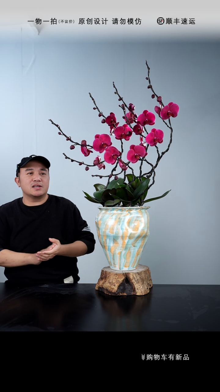 【闪购商品】016号链接【一物一拍】艺术盆景