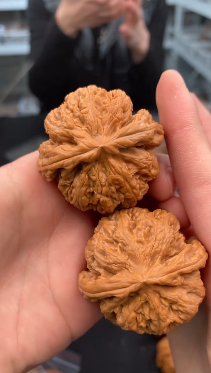 【闪购商品】文玩核桃把件肉球筋45-t662