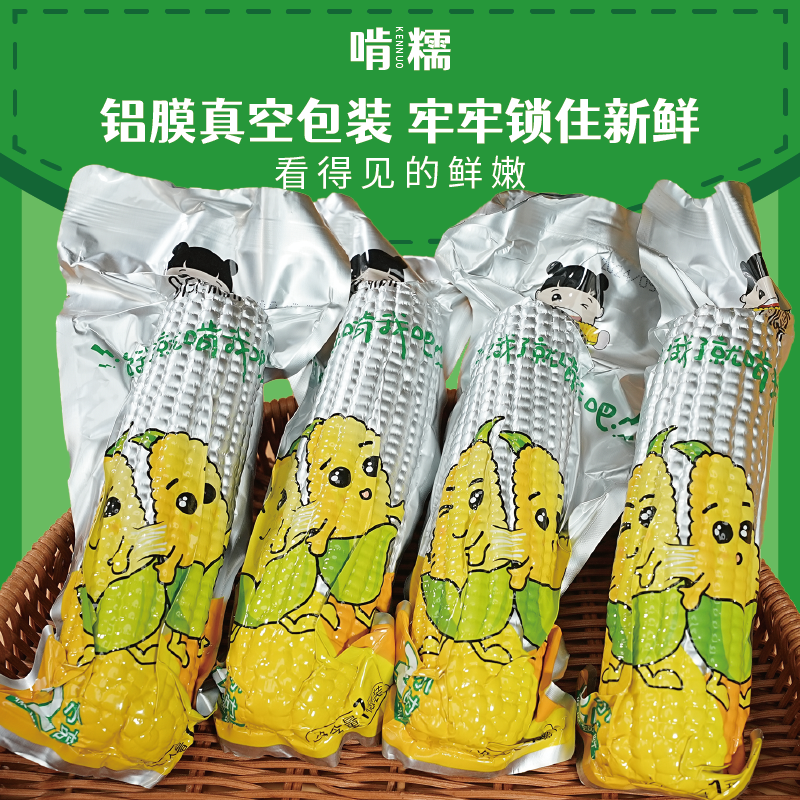 【啃糯】2025年大棒糯9 煮30分钟 东北玉米 真空锁鲜 代代餐-2200g
