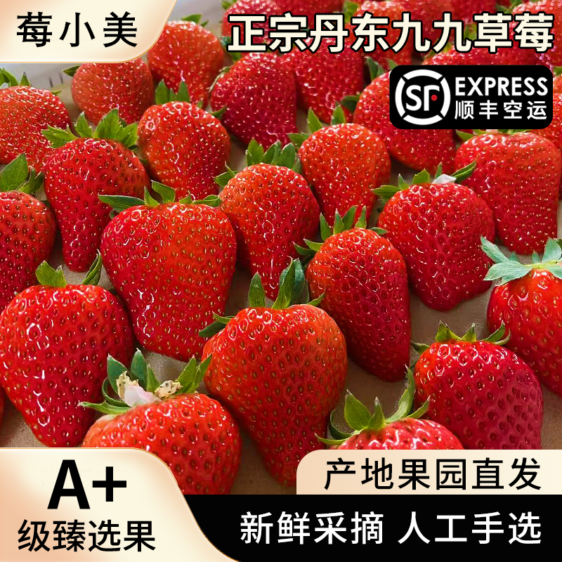 丹东99新鲜草莓顺丰空运现摘先发