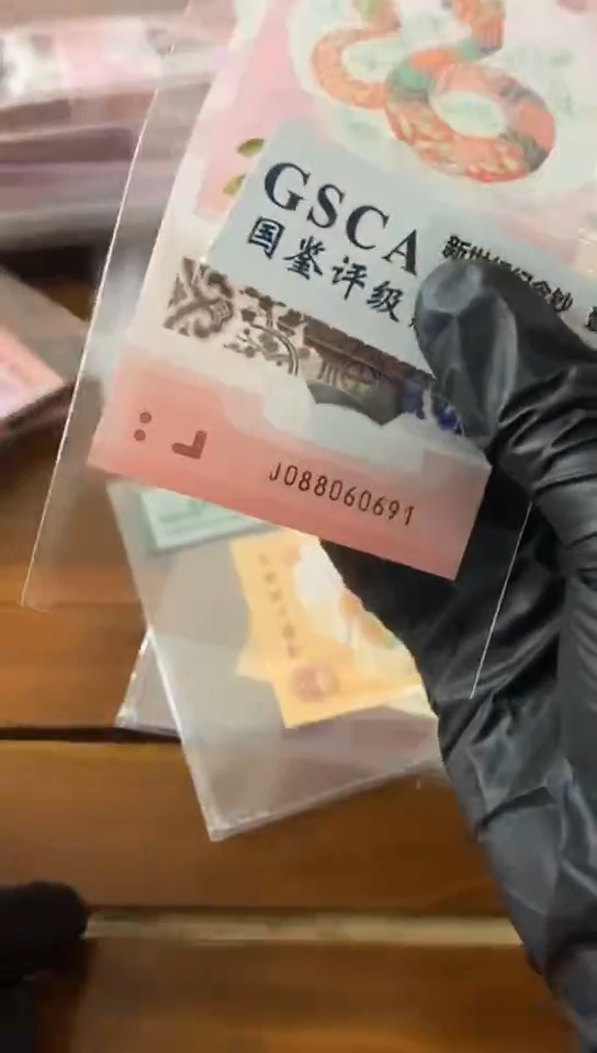 【闪购商品】蛇钞  倒置 088060691