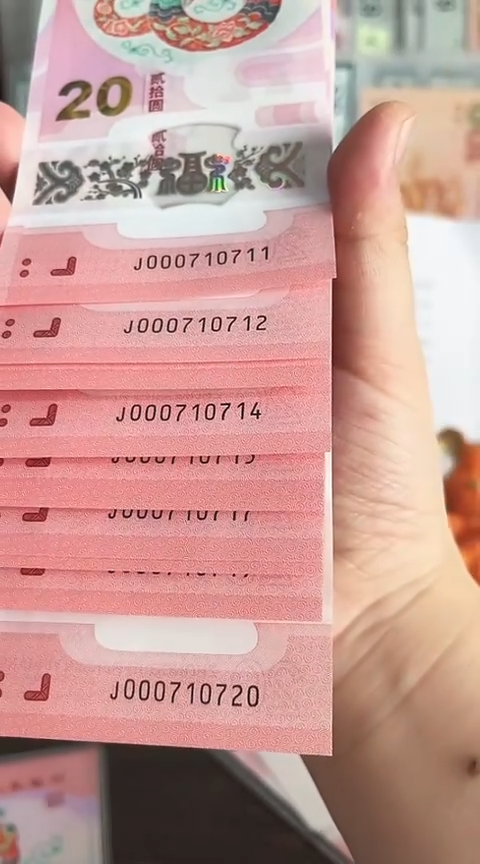 【闪购商品】塑料蛇钞标十号码000710711-20