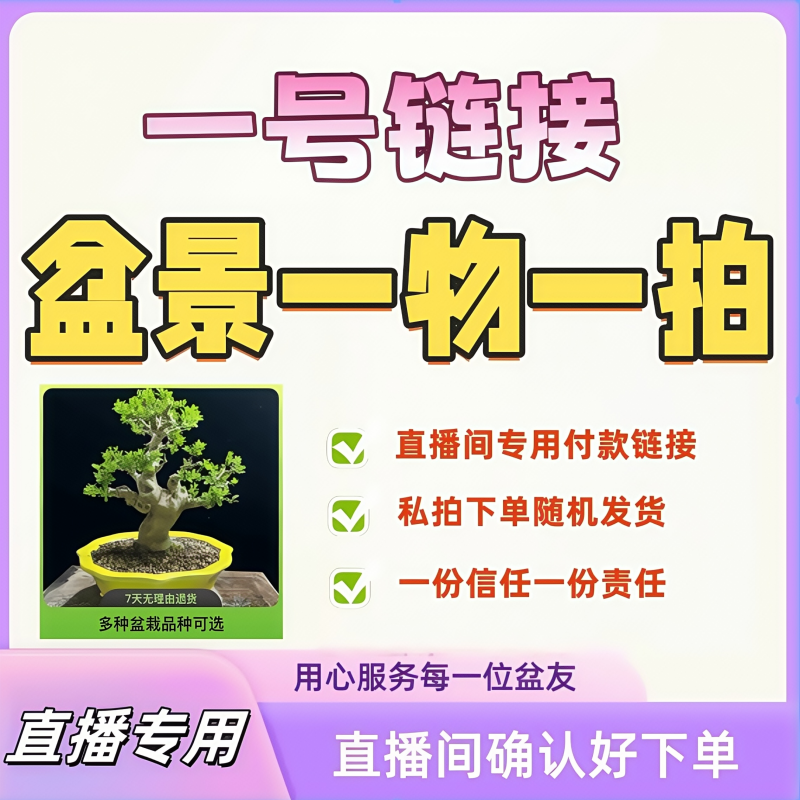 1：盆景一物一拍，直播间专用一号链接