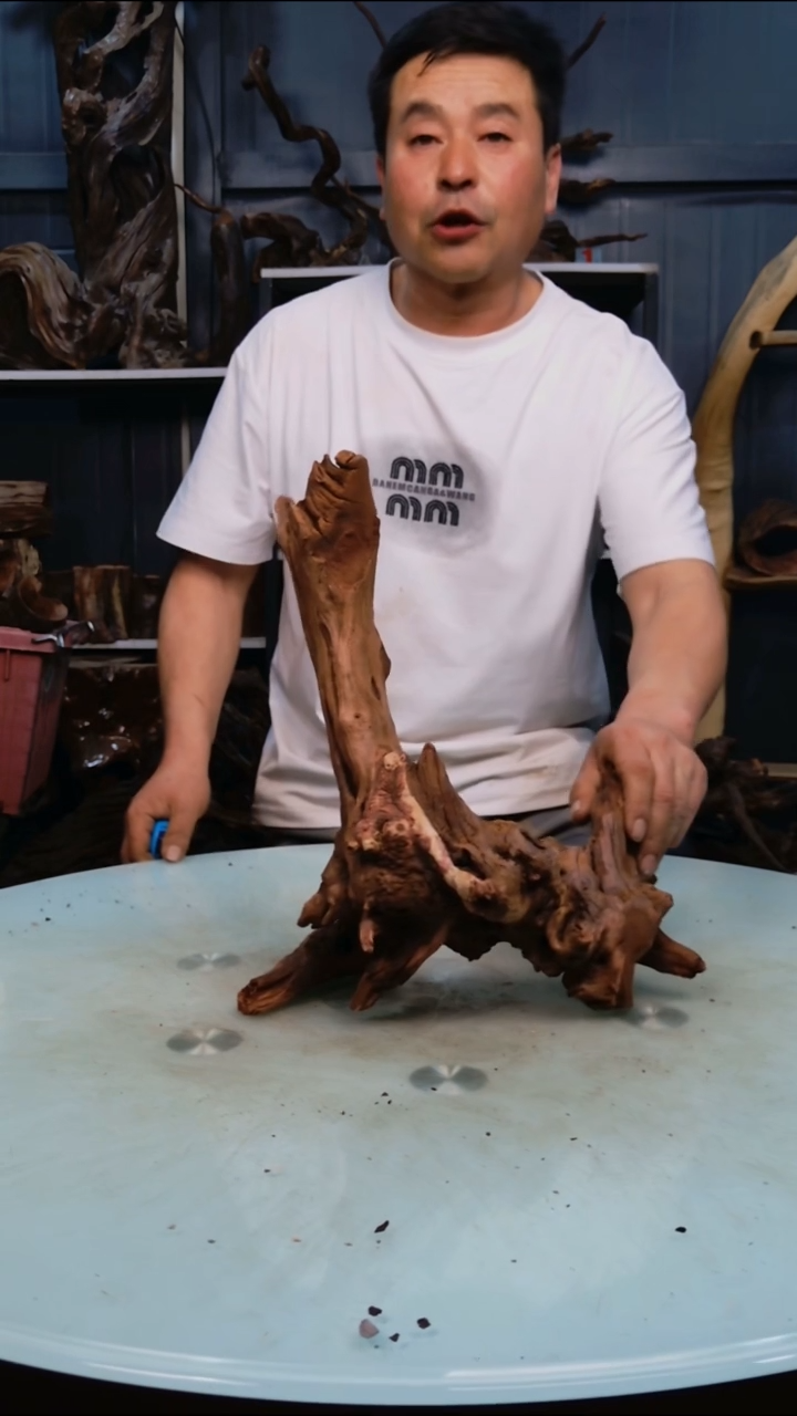 木669清香阁清香阁清香阁