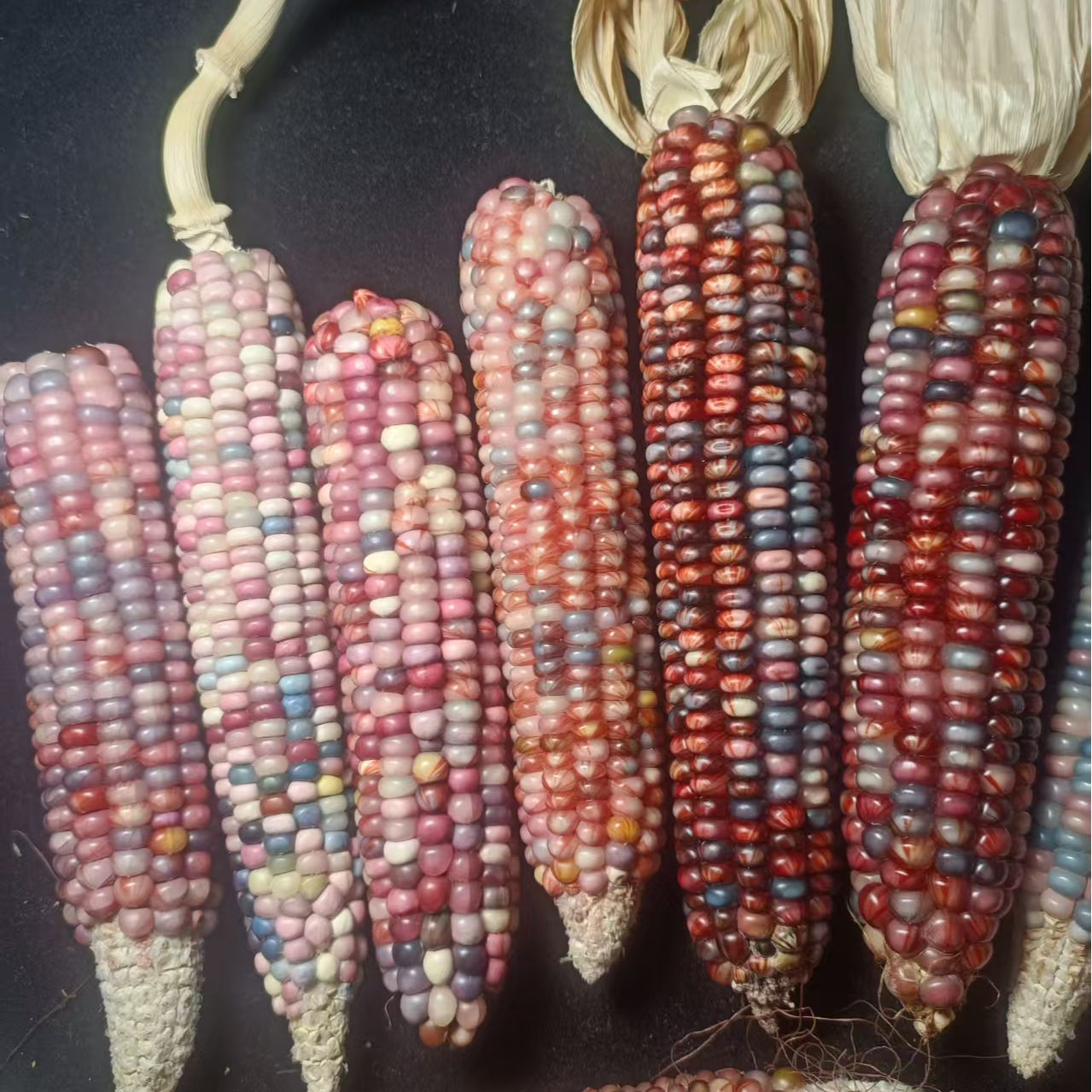 直播间一物一价 默认拍下发种子