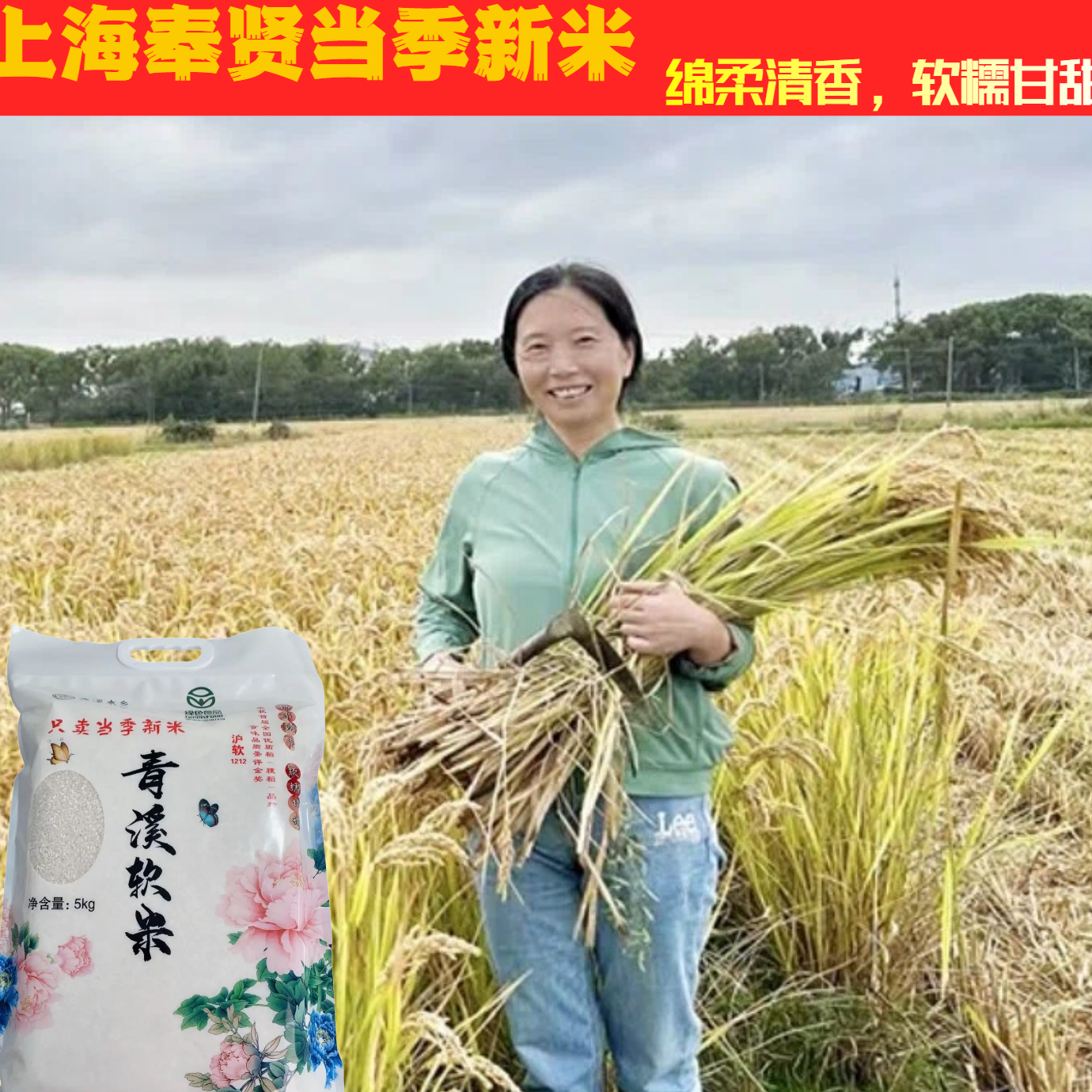 青溪软米 上海本地 煮饭清香 口感软糯 当季新米 5kg