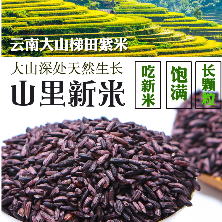 张小妹 现收 紫糯米 养生滋补 营养丰富 精选山货