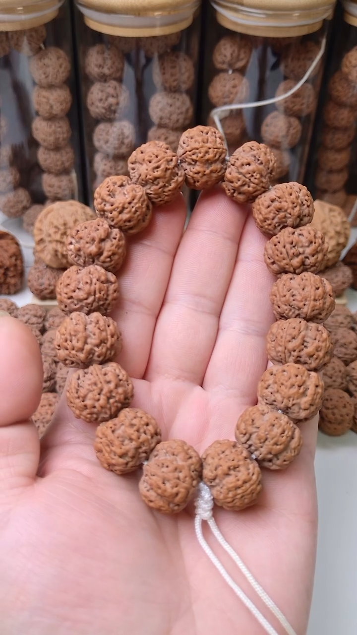 手串金刚菩提03红皮 古龙梅花 20