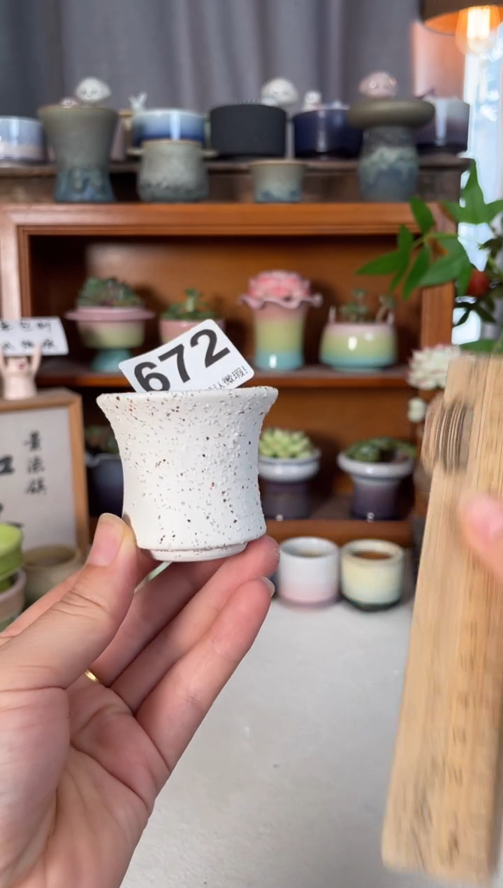 瓷片672知木小芳花盆