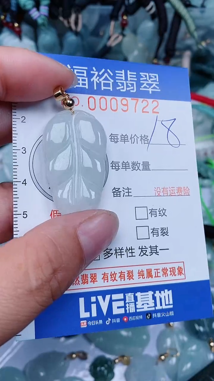 【闪购商品】翡翠颈饰未镶嵌...0009722