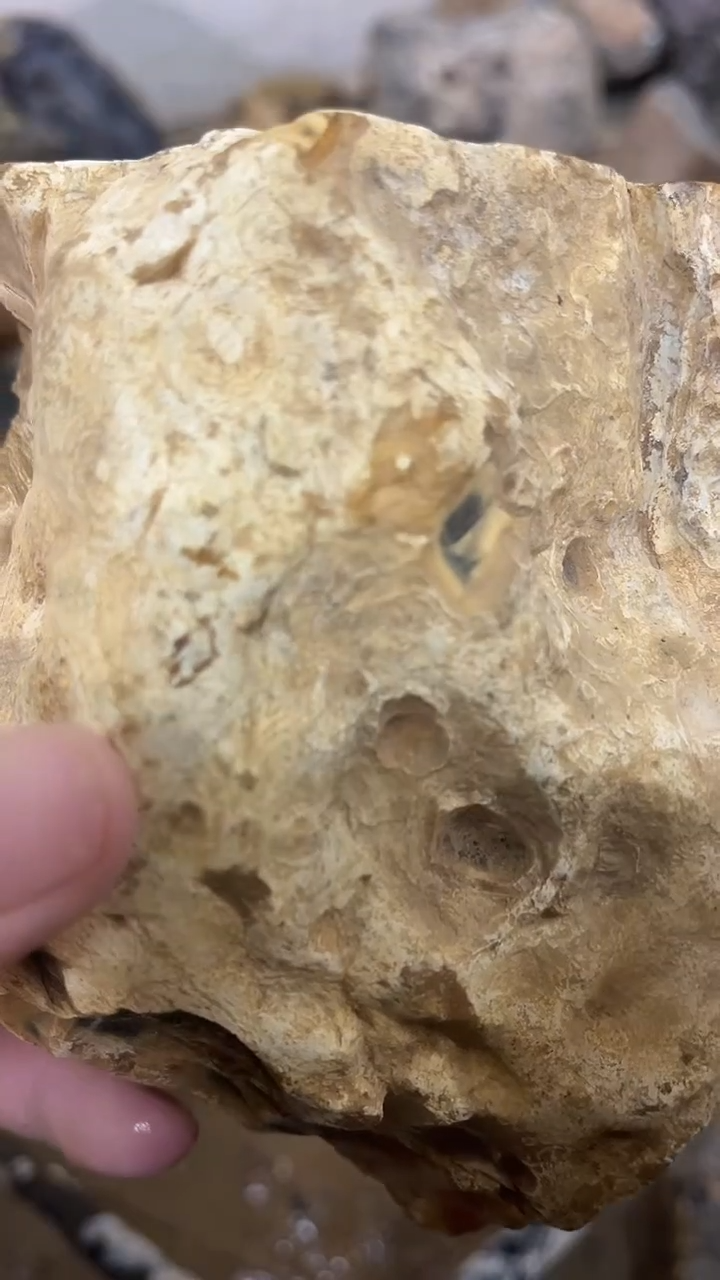 定制玛瑙依*牌1000360