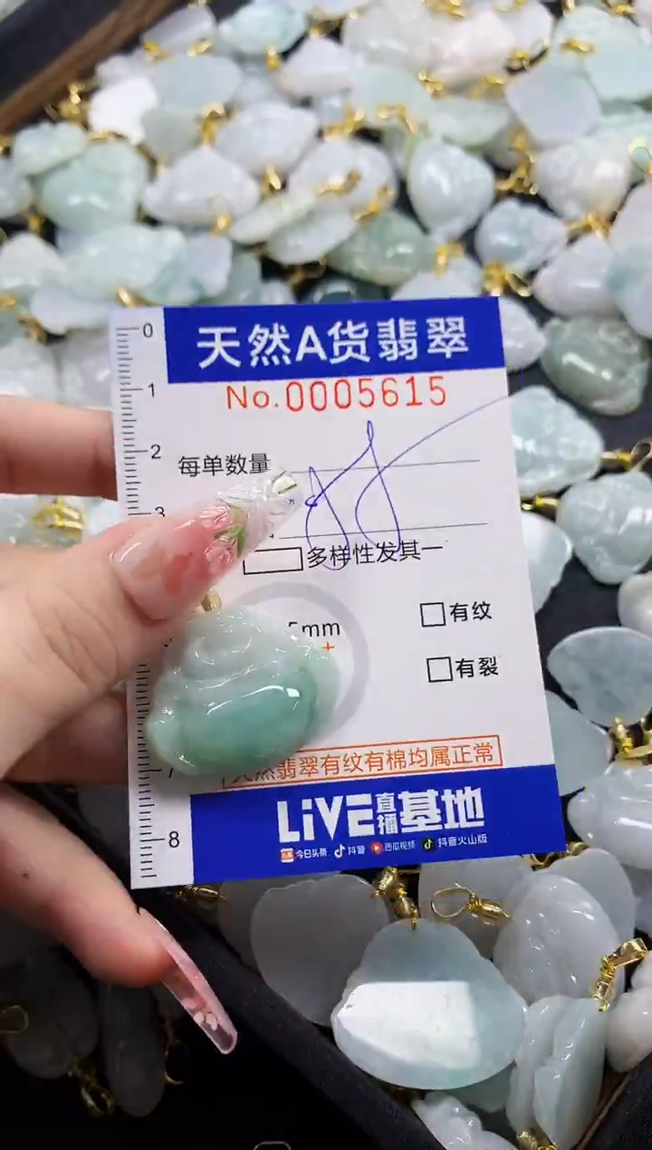 颈饰未镶嵌翡翠天然A货翡翠