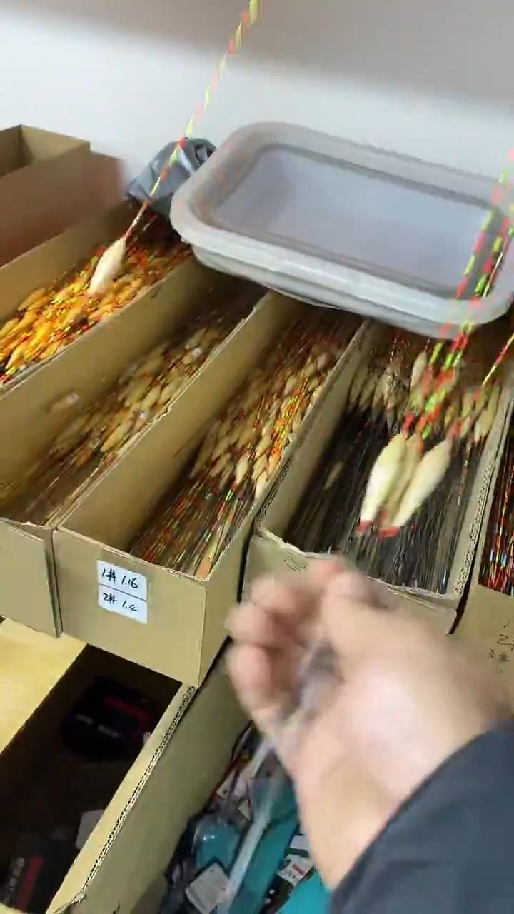 A63带壳芦苇五支    