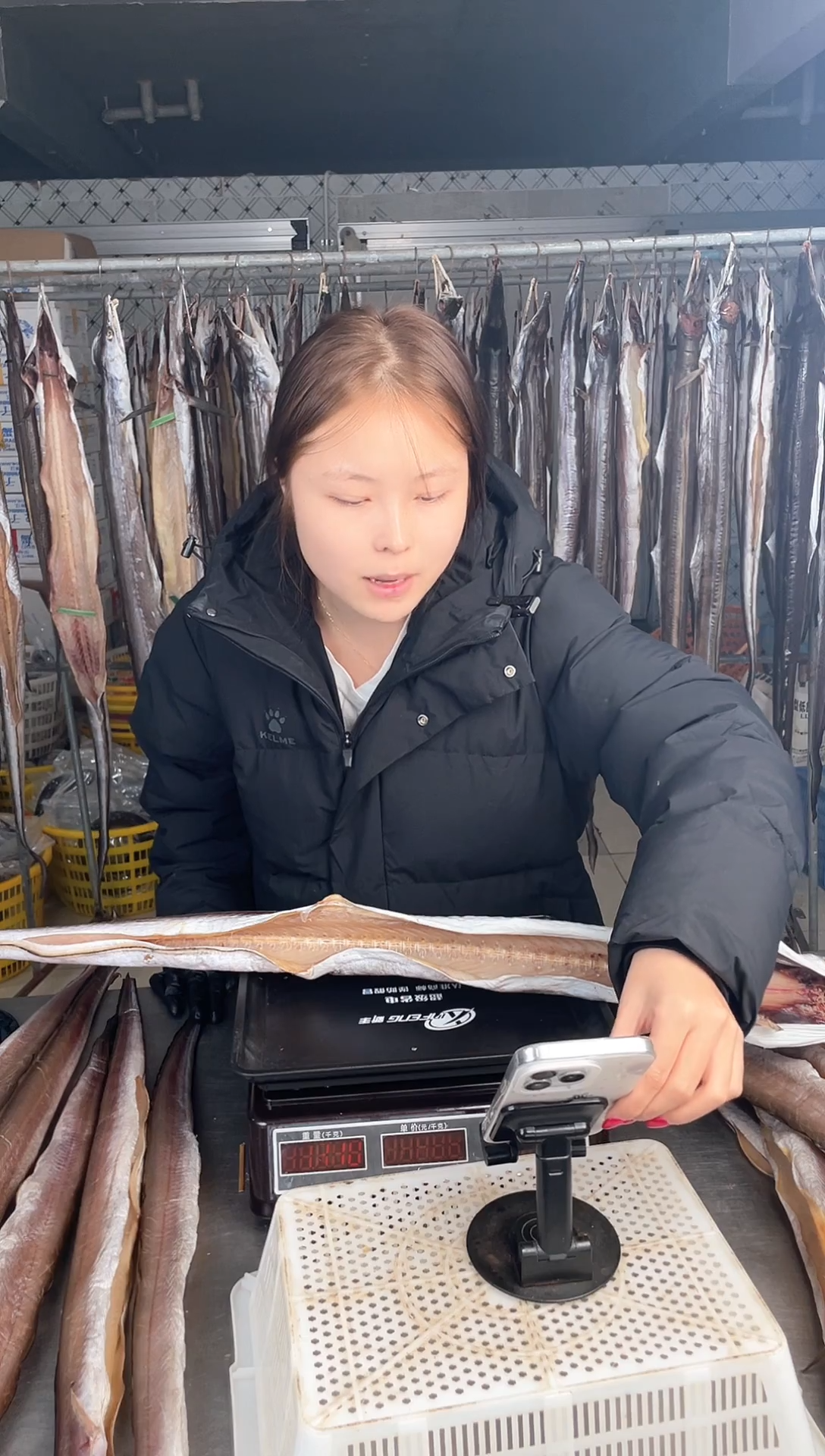 中国大陆3.4斤风鳗1条